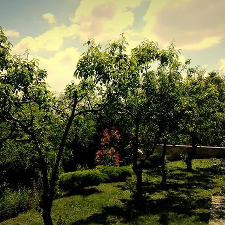 Beloved Pécs